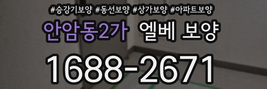 안암동2가 엘베 보양