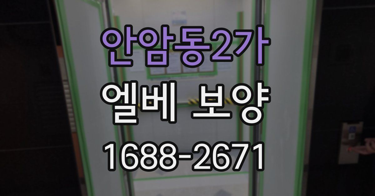 안암동2가 엘베 보양