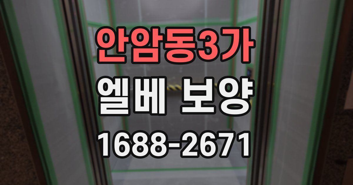 안암동3가 엘베 보양