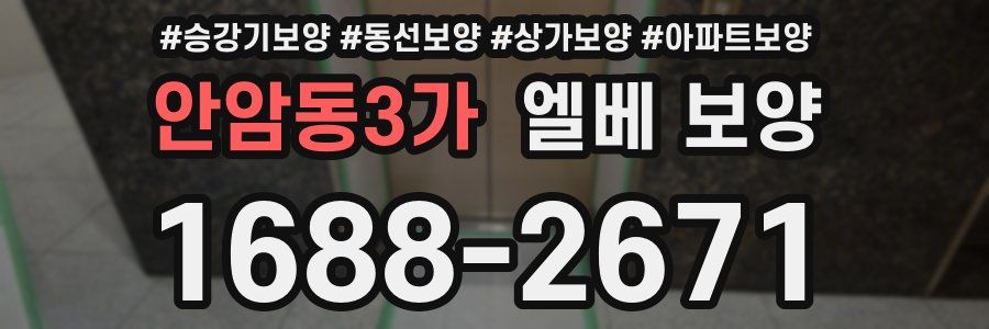 안암동3가 엘베 보양
