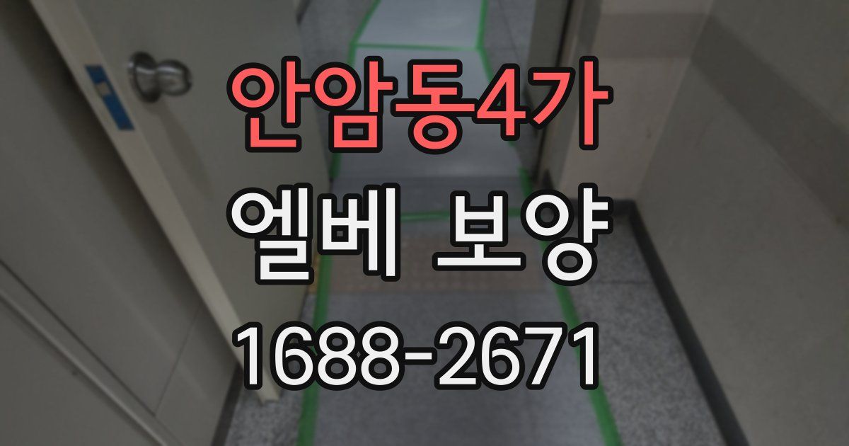 안암동4가 엘베 보양