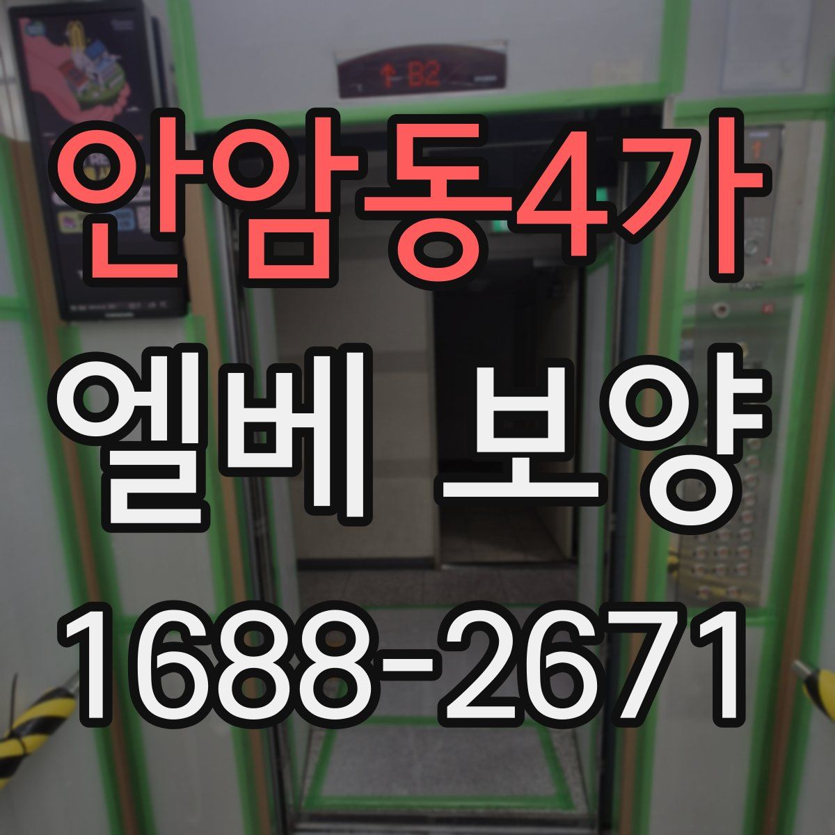 안암동4가 엘베 보양