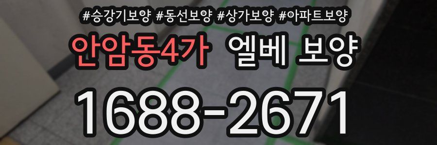 안암동4가 엘베 보양