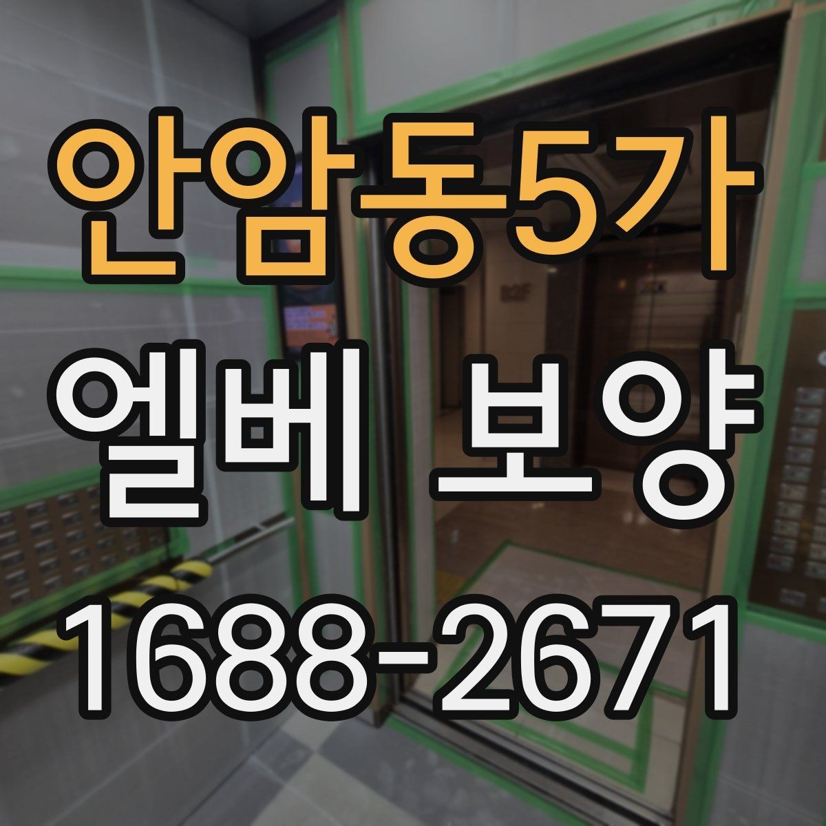 안암동5가 엘베 보양 보양 사진 기록이 필요한 현장 운영 포인트
