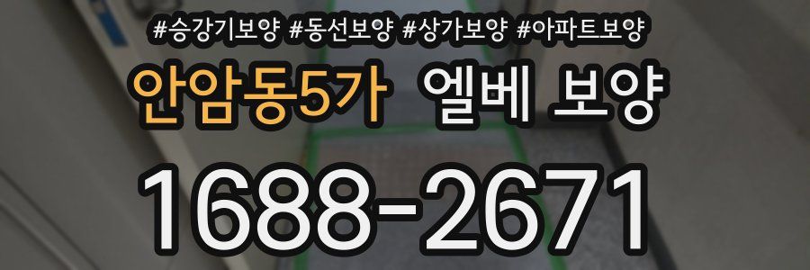 안암동5가 엘베 보양