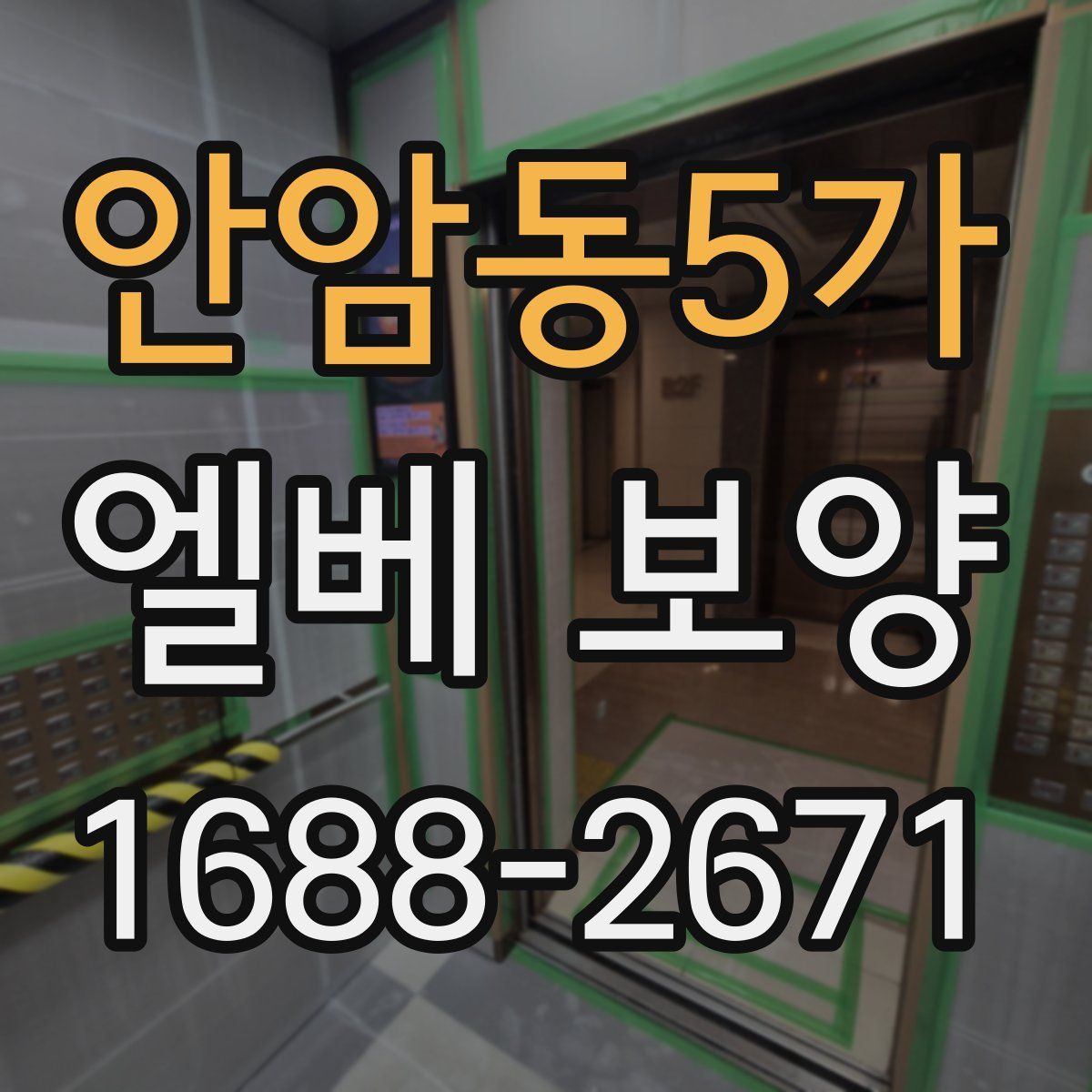 안암동5가 엘베 보양