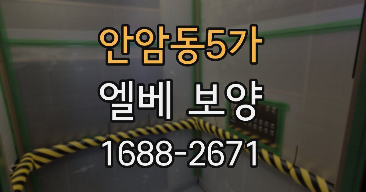 안암동5가 엘베 보양