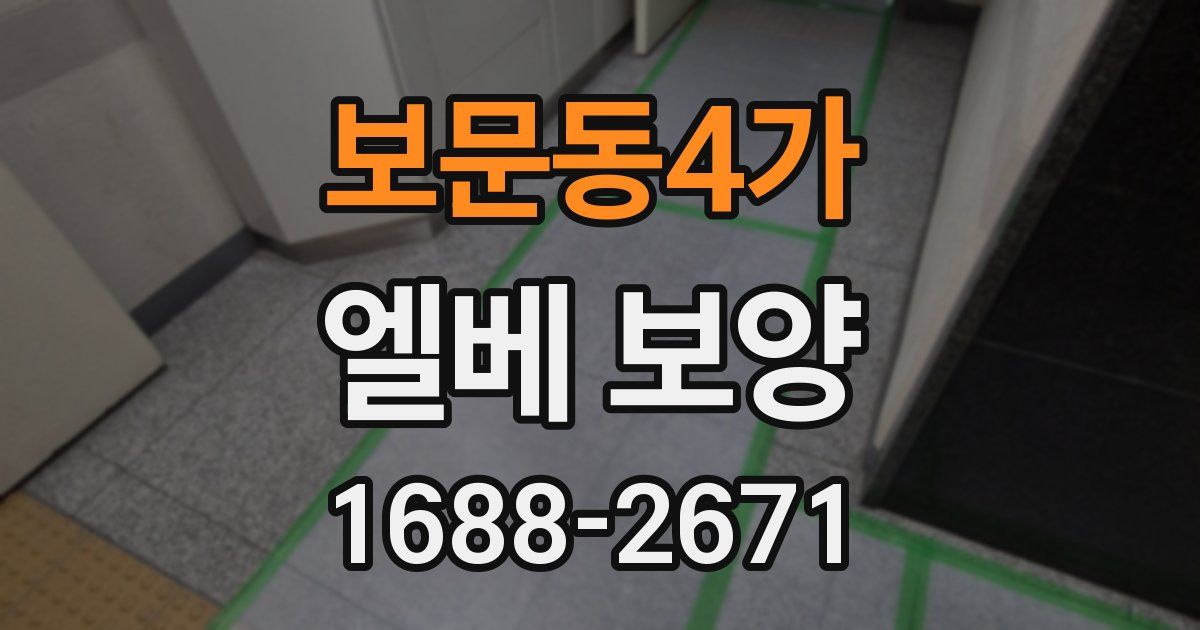 보문동4가 엘베 보양