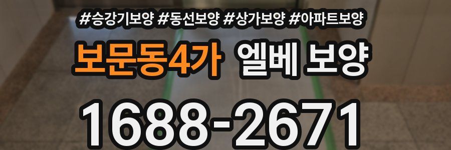 보문동4가 엘베 보양