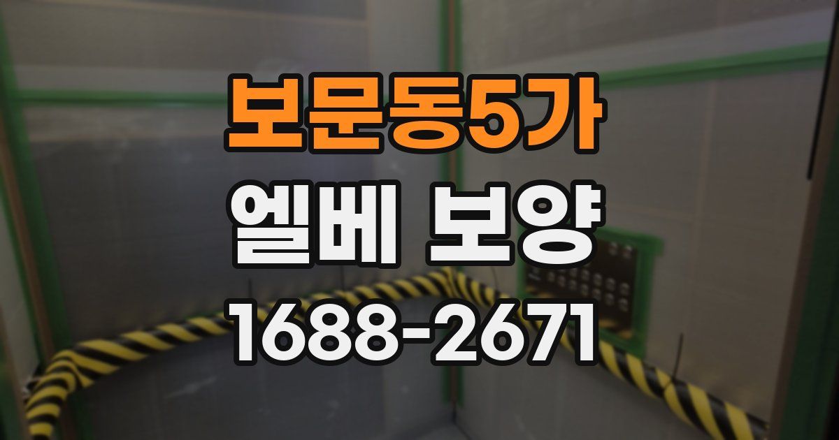 보문동5가 엘베 보양