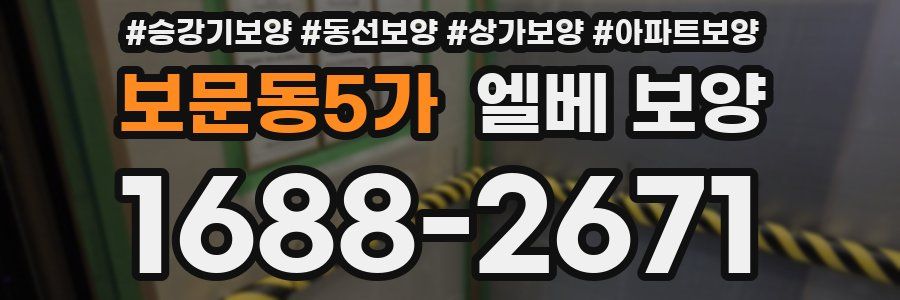 보문동5가 엘베 보양