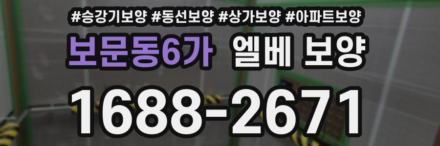 보문동6가 엘베 보양