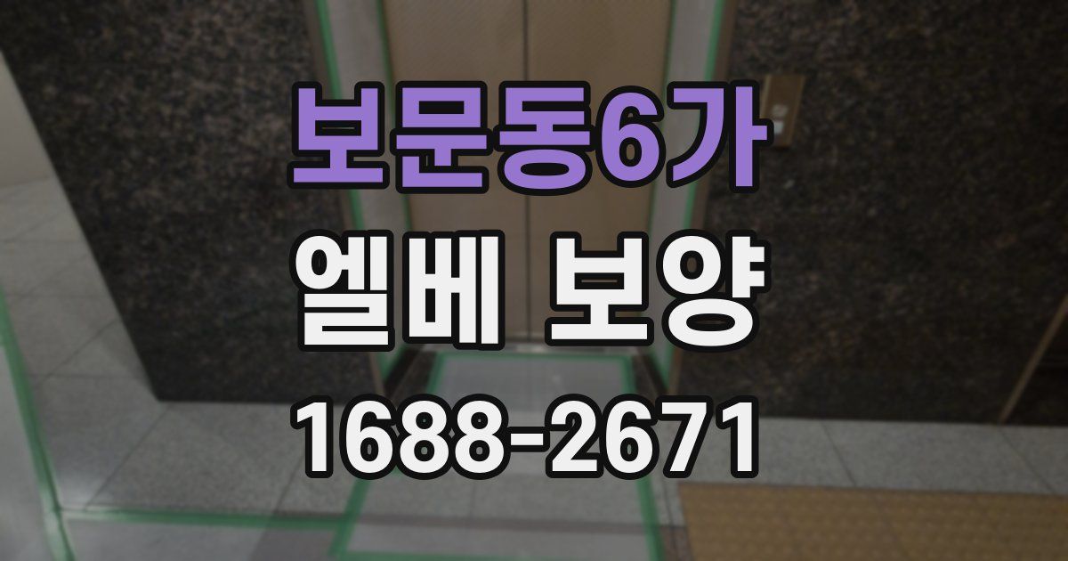 보문동6가 엘베 보양