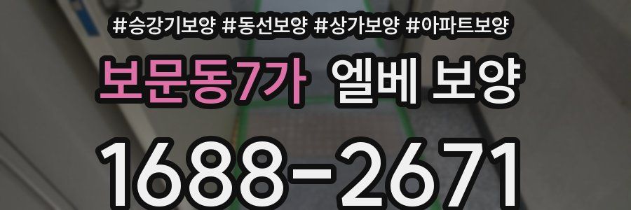 보문동7가 엘베 보양