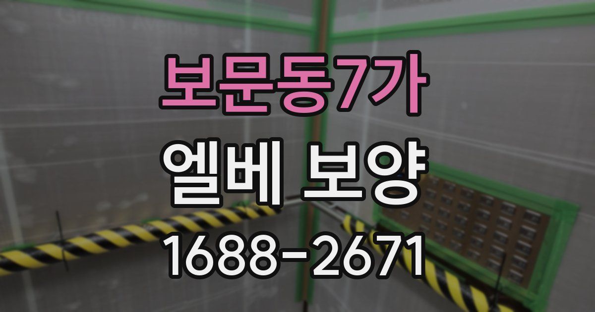 보문동7가 엘베 보양