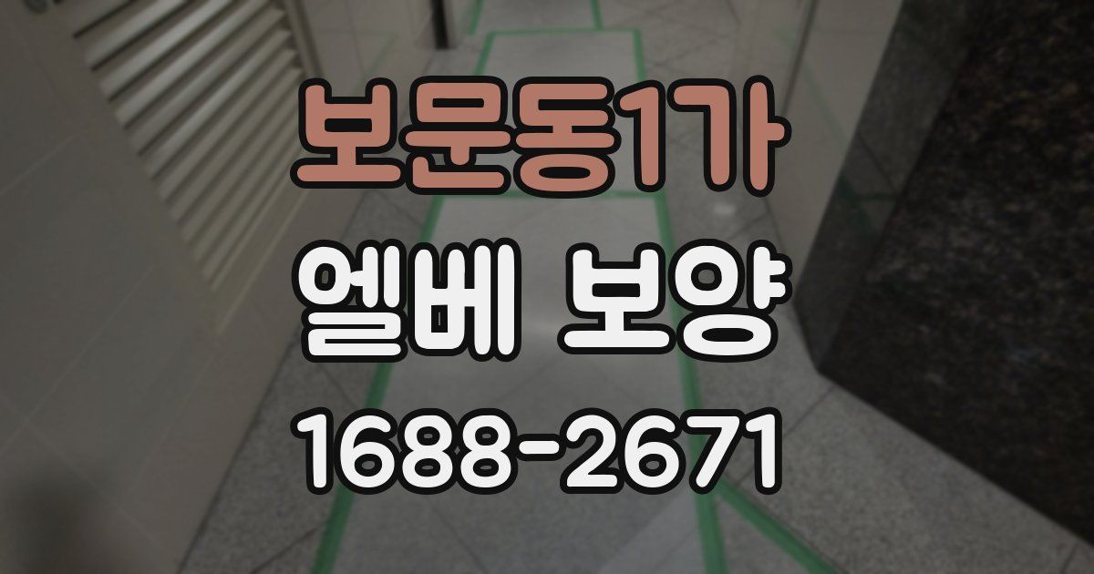 보문동1가 엘베 보양
