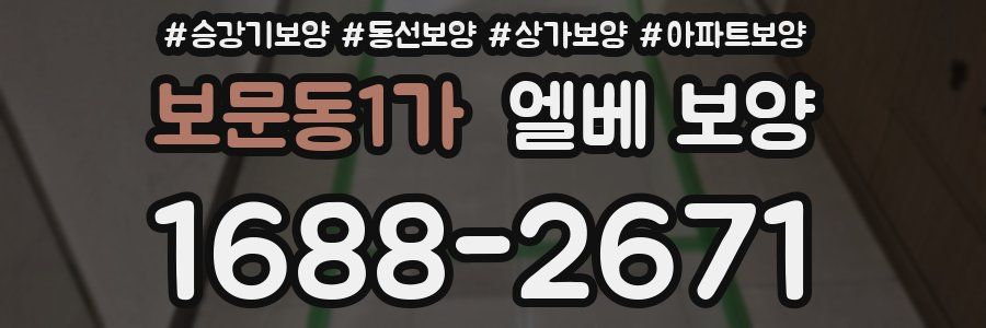 보문동1가 엘베 보양
