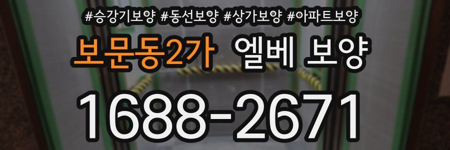 보문동2가 엘베 보양