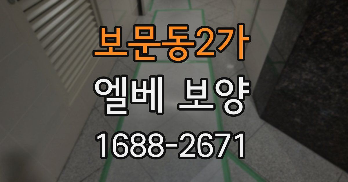 보문동2가 엘베 보양