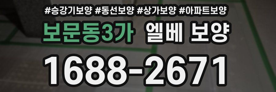보문동3가 엘베 보양