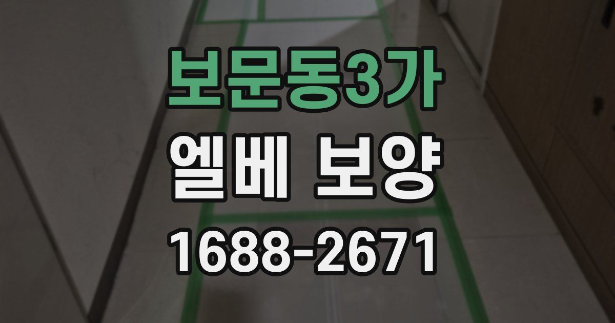 보문동3가 엘베 보양
