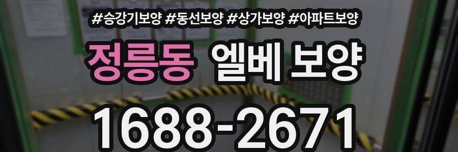정릉동 엘베 보양