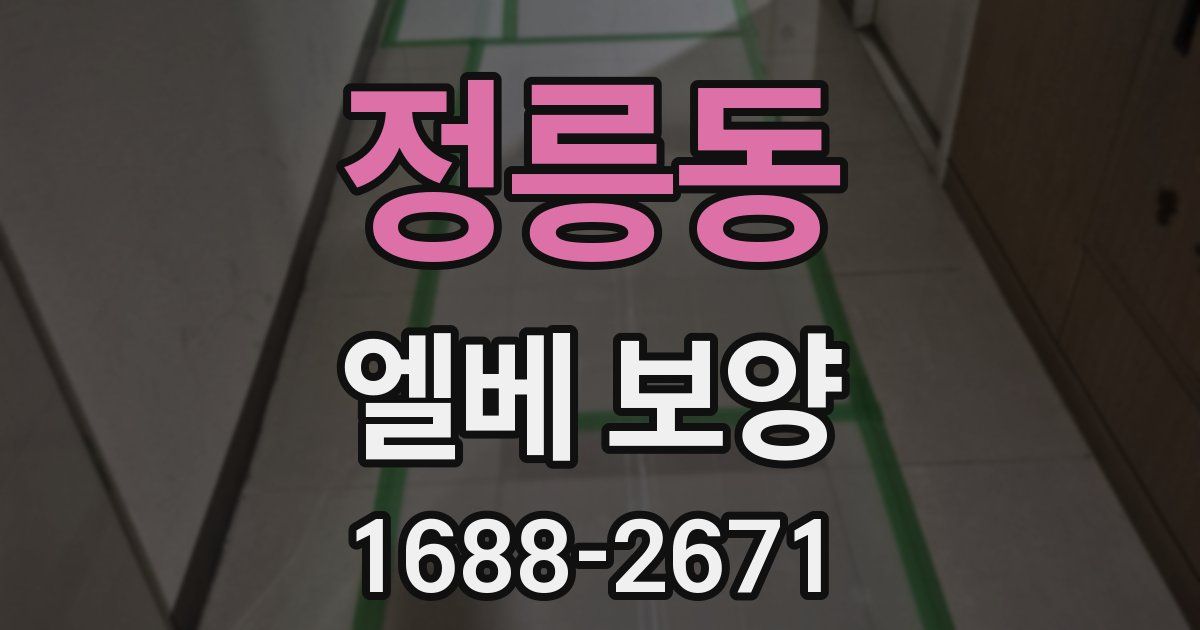 정릉동 엘베 보양