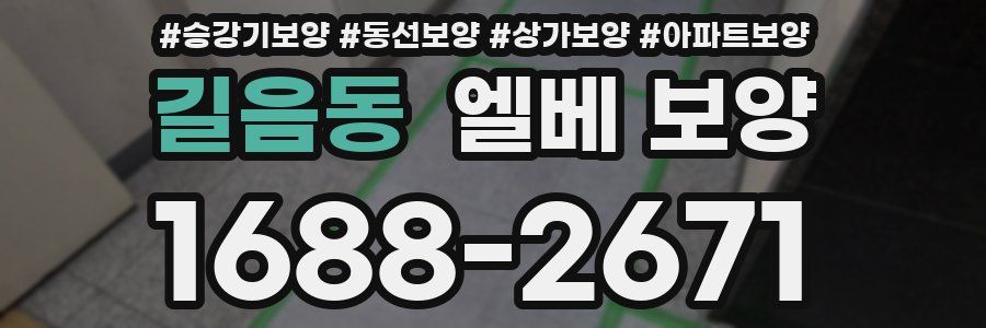 길음동 엘베 보양