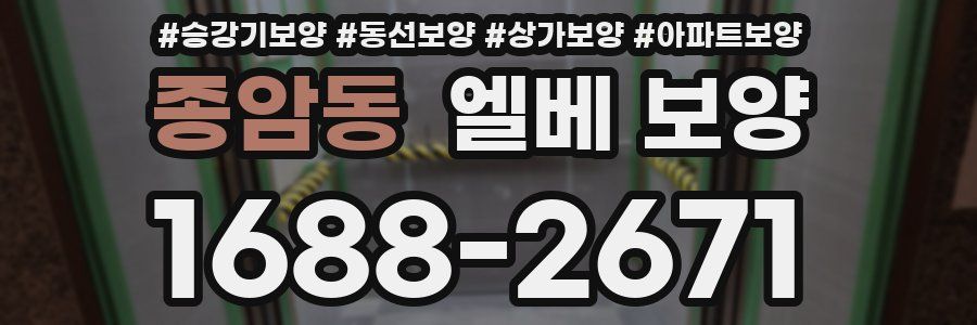종암동 엘베 보양