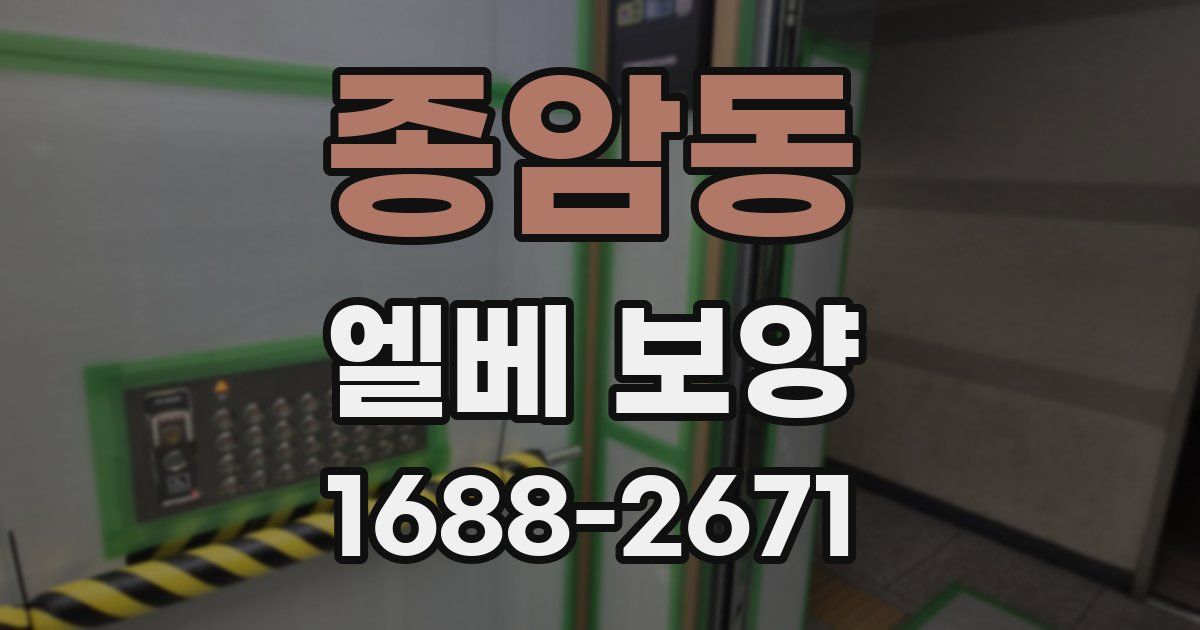 종암동 엘베 보양
