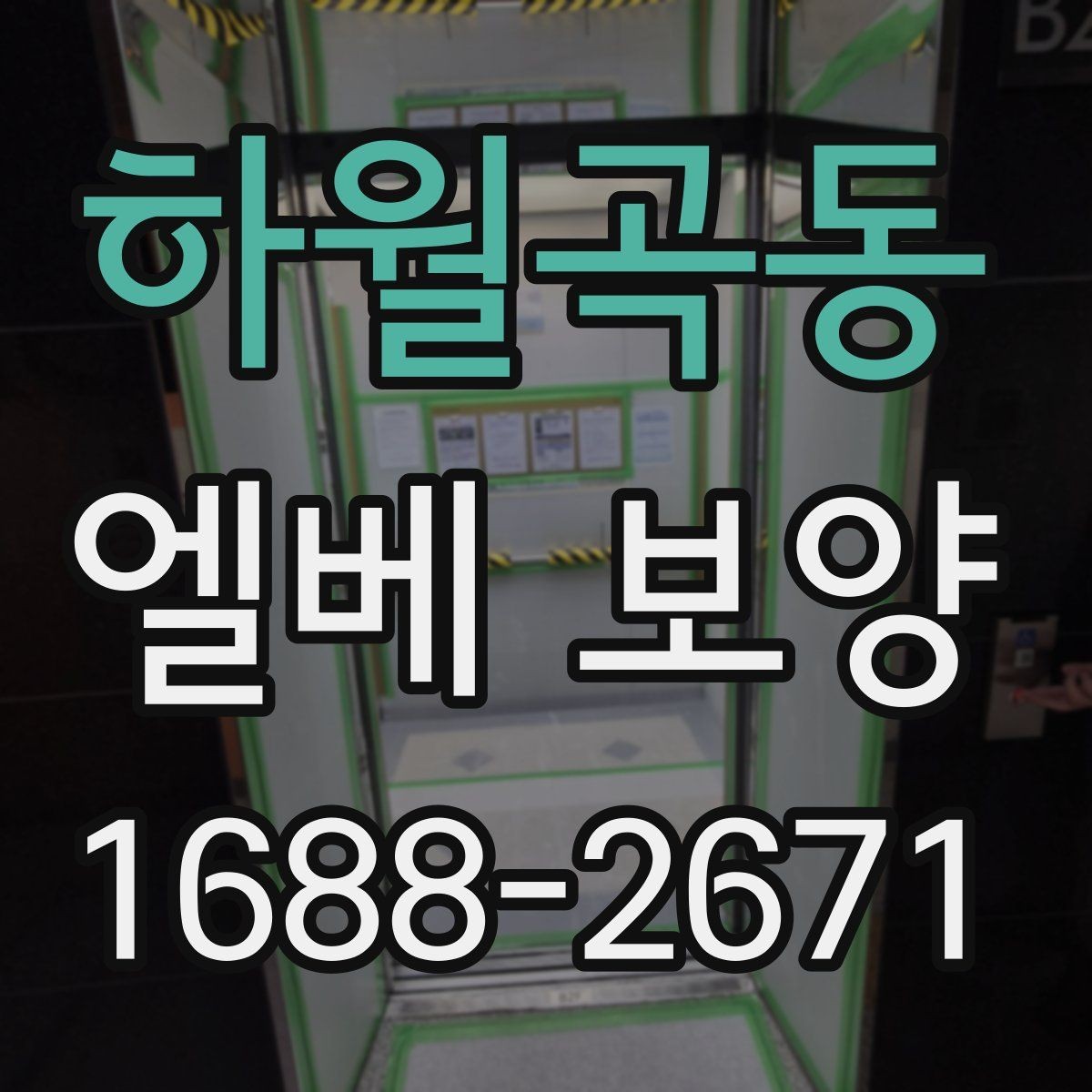 하월곡동 엘베 보양 자재 고를 때 먼저 볼 항목