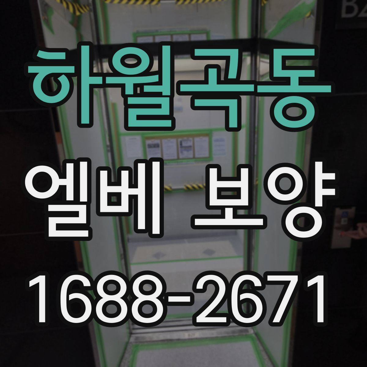 하월곡동 엘베 보양