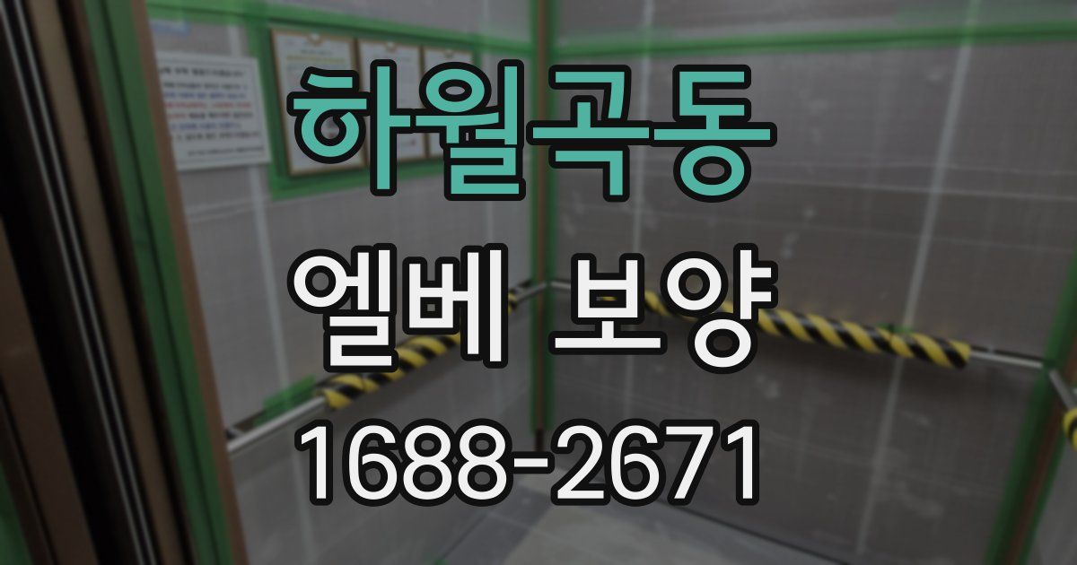 하월곡동 엘베 보양
