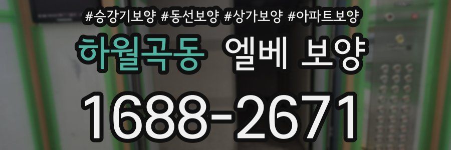 하월곡동 엘베 보양