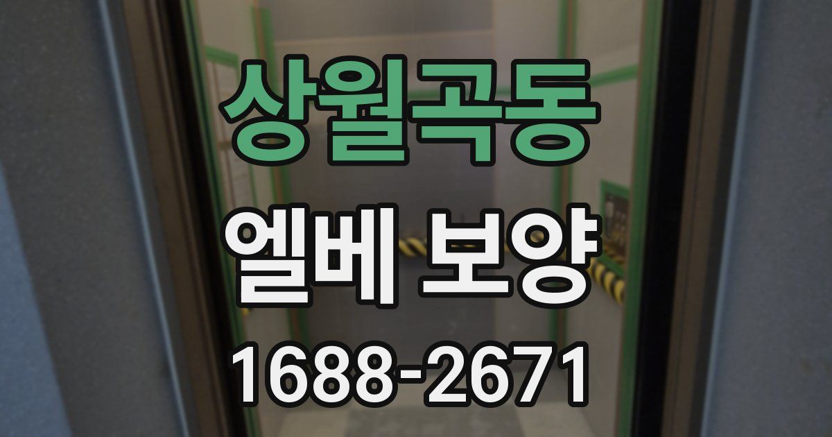 상월곡동 엘베 보양