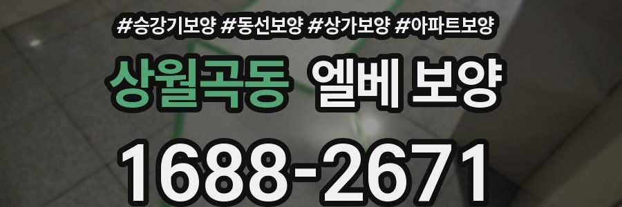 상월곡동 엘베 보양