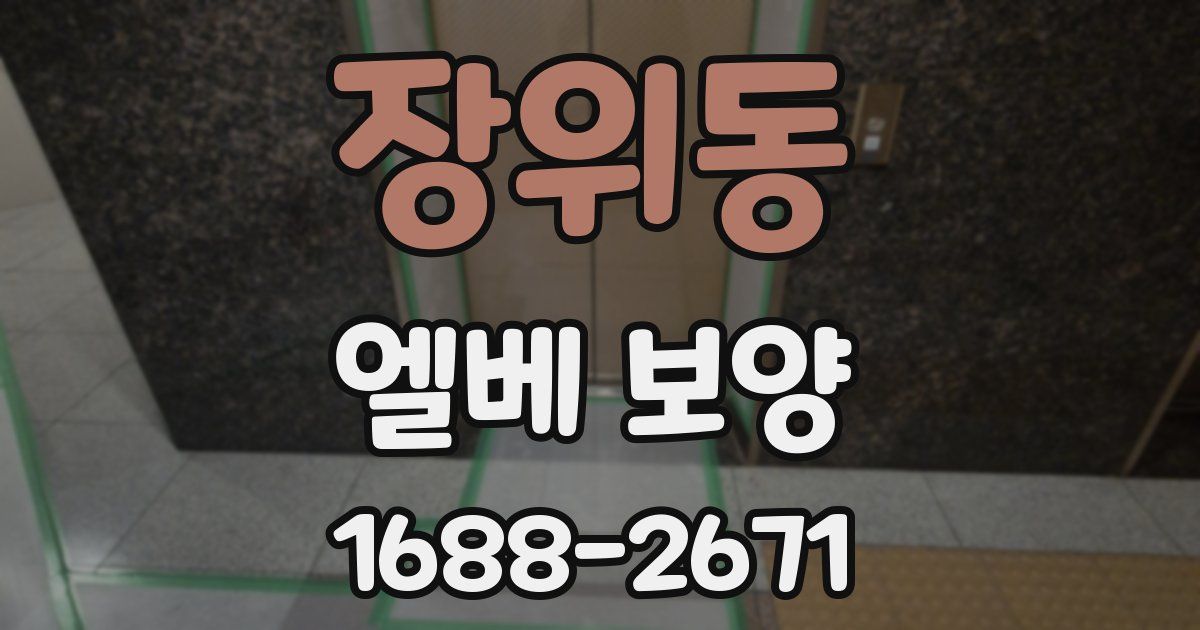 장위동 엘베 보양