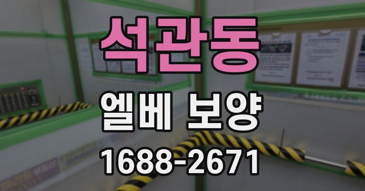 석관동 엘베 보양