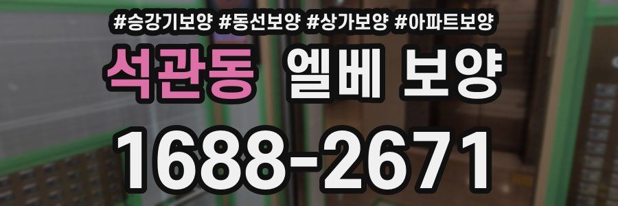 석관동 엘베 보양