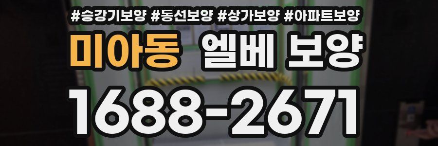미아동 엘베 보양