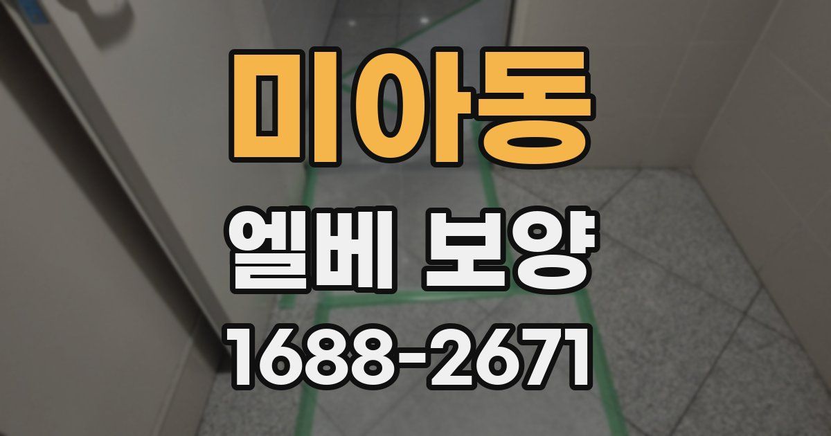 미아동 엘베 보양