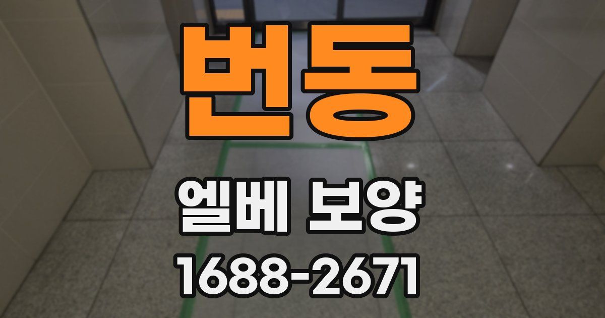 번동 엘베 보양