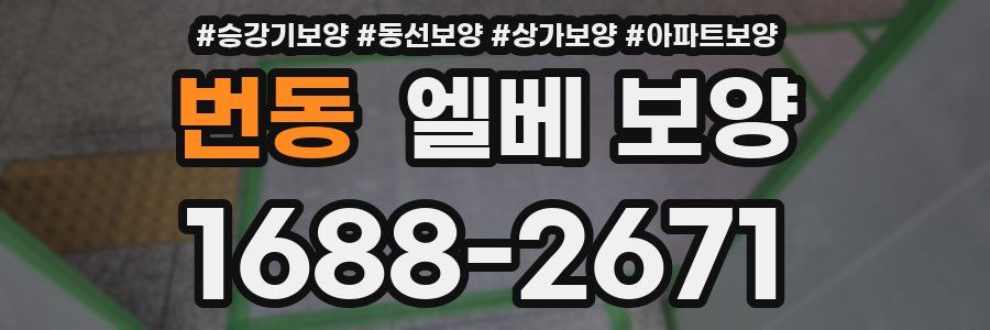 번동 엘베 보양