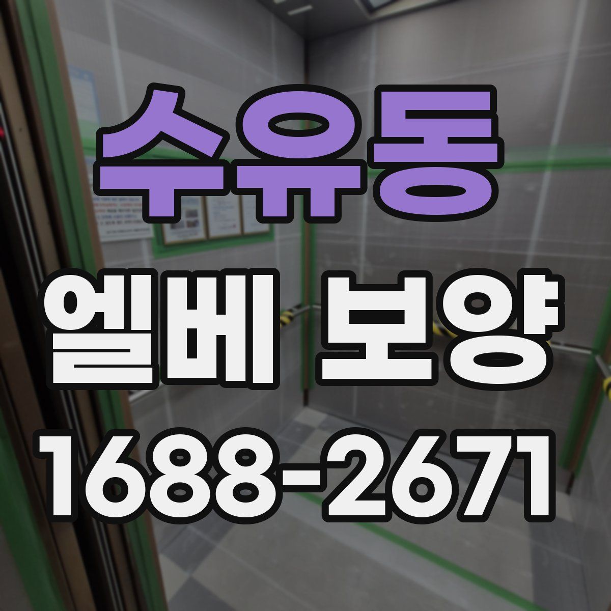 수유동 엘베 보양