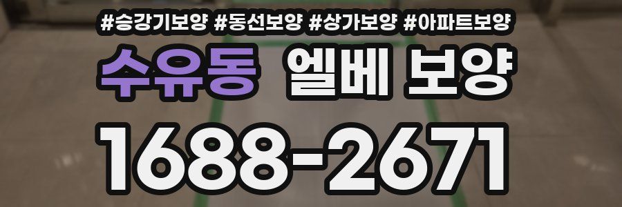 수유동 엘베 보양