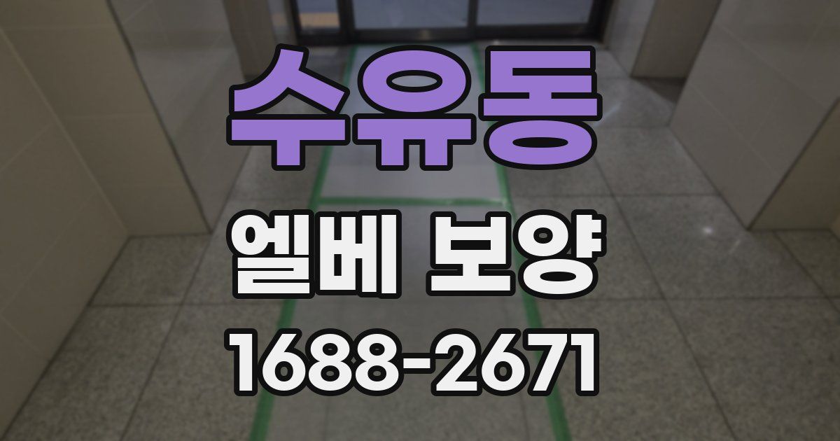 수유동 엘베 보양