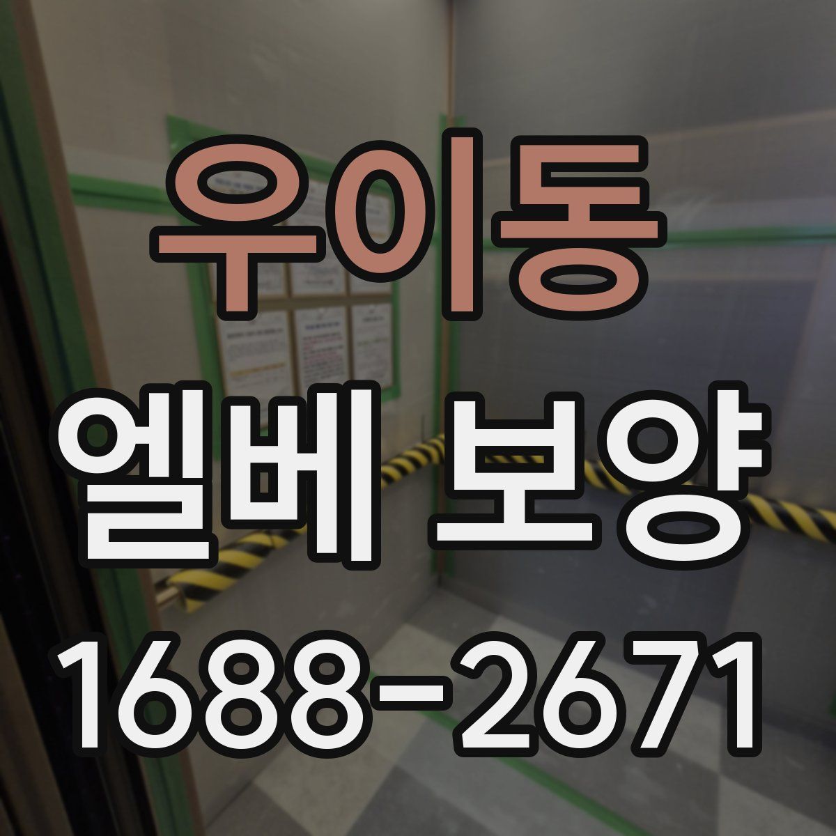 우이동 엘베 보양