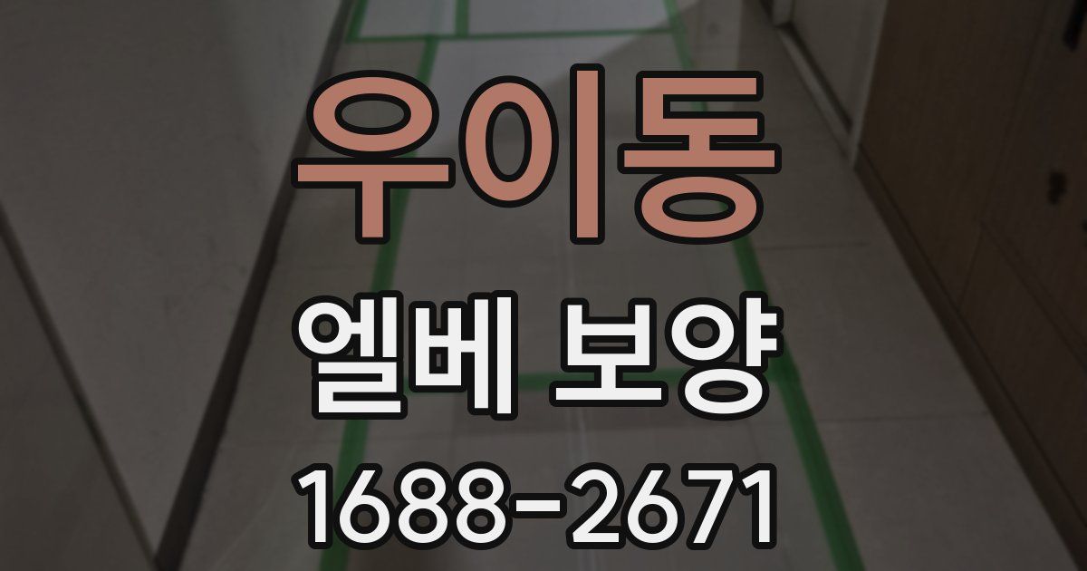 우이동 엘베 보양