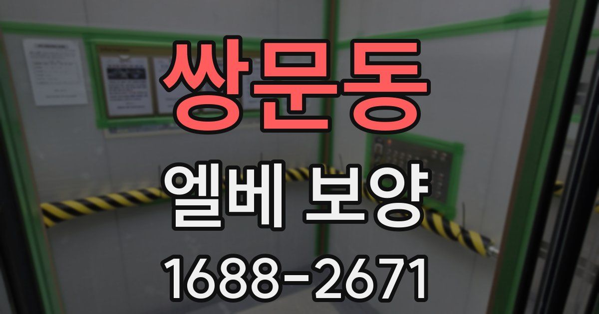 쌍문동 엘베 보양