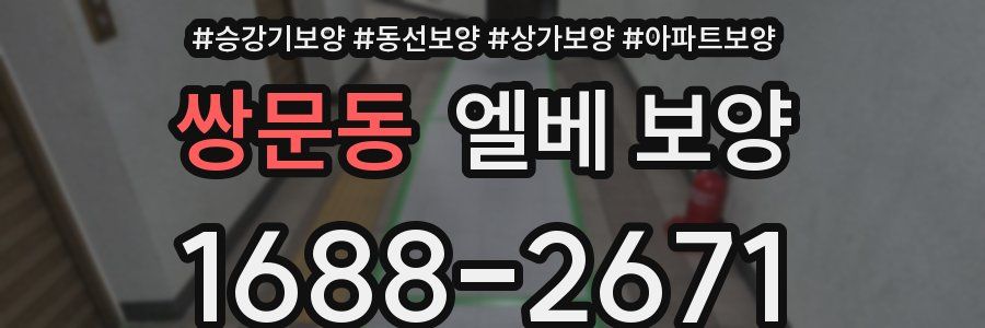 쌍문동 엘베 보양